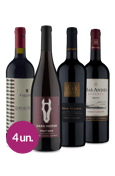 Kit Seleção Top Tintos Wine (4 garrafas)