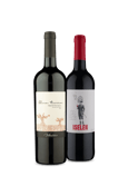 Kit 2 - Queridinhos das Lojas - Prime Day