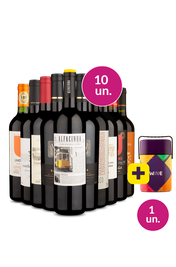 Kit 10 - Tintos Variados + Cooler Retr&ocirc; Gr&aacute;tis - Exclusivo We