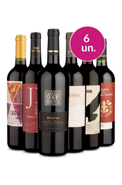 Kit 6 - Destaques na WineBox - Oferta Absurda