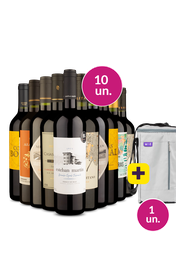 Kit 10 - Tintos Secos + Bolsa p/ 3 garrafas Gr&aacute;tis - Exclusivo We