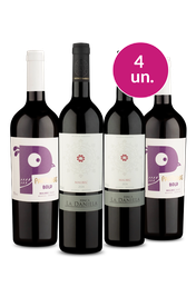 Kit 4 - Malbec Argentino - Oferta Absurda