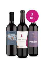 Kit 3 - Sabores Surpreendentes por R$99 - Oferta Absurda