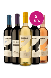Kit 5 - Degusta&ccedil;&atilde;o Condor Peak - Exclusivo We
