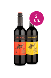 Kit 2 - Colorindo o M&ecirc;s - Oferta Absurda