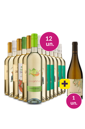 Kit 13 - S&oacute; Vinho Verde + Metropolitano Gr&aacute;tis