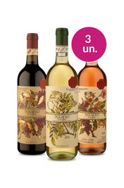 Kit 3 - Degusta&ccedil;&atilde;o Carpineto Dogajolo I.G.T. Toscano - Exclusivo We