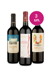 Kit 3 - Tintos da Am&eacute;rica do Sul por R$99