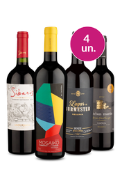 Kit 4 - Tintos Especiais - Exclusivo We