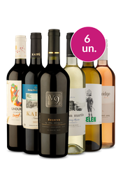 Kit 6 - Campe&otilde;es Diversos - R$37,90 por Garrafa