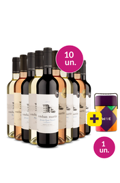 Kit 10 - Estebans + Cooler Retr&ocirc; Gr&aacute;tis - Exclusivo We