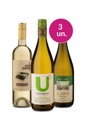 Kit 3 - Chardonnays por R$ 99 - Exclusivo We