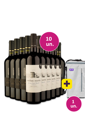 Kit 10 - Esteban Mart&iacute;n e V9 Reserva Carm&eacute;n&egrave;re + Bolsa para 3 garrafas Gr&aacute;tis - Exclusivo We