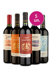 Kit 5 - Tintos por R$100 - Exclusivo