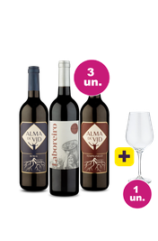 Kit 3 - Tintos Suaves + Taça de Cristal Grátis - Oferta Absurda Black Wine