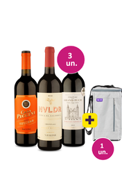 Kit 3 - Europa Surpreendente + Bolsa para 3 garrafas Gr&aacute;tis - Exclusivo We