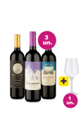 Kit 3 - Tintos Maravilhosos por R$119 + Taça de Cristal Grátis
