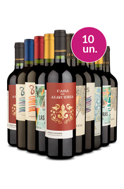 Kit 10 - Tintos no Precinho - Exclusivo We
