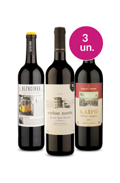 Kit 3 - Tintos Destaques do M&ecirc;s por R$99 - Oferta Absurda