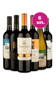 Kit 6 - Aqui só tem Campeão! - Oferta Prime Day