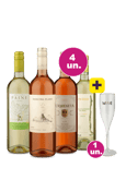 Kit 4 por 100 - Fresh Wine + Taça Grátis - Oferta Insana