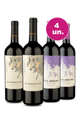 Kit 4 - Campeões Chilenos Tintos - Oferta Insana