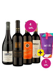 Kit 4 - Queridinhos tintos + Bolsa t&eacute;rmica 1 garrafa Gr&aacute;tis - Exclusivo We