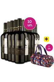 Kit 10 - V9 Reserva Carm&eacute;n&egrave;re, Cabernet e Esteban Mart&iacute;n Tinto + Bolsa Dobr&aacute;vel Gr&aacute;tis - Exclusivo We