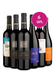Kit 6 - Tintos no Precinho - Spoiler Black Wine