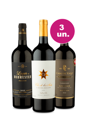 Kit 3 - Encontro de Campe&otilde;es - Exclusivo We