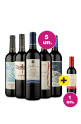 Kit 5 - Tintos Wine + Paine 375 mL Grátis
