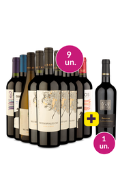 Kit 9 - Am&eacute;rica do Sul + V9 Gr&aacute;tis