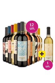 Kit 13 - Mix Novo e Velho Mundo + Citadel Gr&aacute;tis