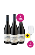 Kit 3 - Bons-Ventos + Taça de Cristal Grátis - Oferta Insana