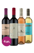 Kit Mix Top Sul-Americanos (4 garrafas)