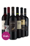 Kit Tintos Continentes Wine (6 garrafas)