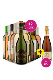 Kit 13 - Degusta&ccedil;&atilde;o Refrescantes + Espumante Maravi Gr&aacute;tis