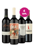 Kit 4 por 99 - Tintos Campeões Wine - Oferta Insana