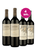 Kit 4 - Partridge Flying e Metropolitano Tintos - Oferta Insana
