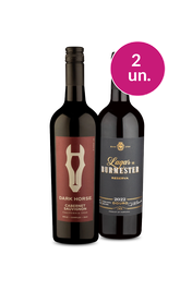 Kit 2 - Sabores Surpreendentes - Oferta Absurda