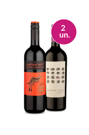 Kit 2 - Chile em Tintos - Oferta Absurda