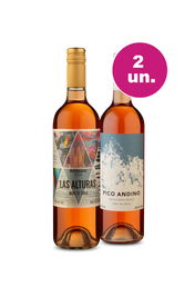 Kit 2 - Rosés Chilenos - Oferta Insana