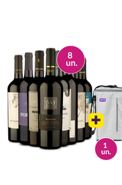 Kit 8 - Vinhos Tintos + Bolsa p/ 3 garrafas Gr&aacute;tis - Exclusivo We