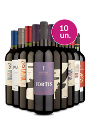 Kit 10 - Tintos Secos por R$23,90 por Garrafa - Imposto Zero