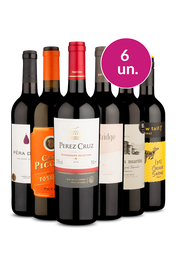 Kit 6 - Tintos Selecionados - Exclusivo We