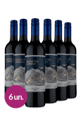 Kit Altos Del Condor Tinto 2020 (6 garrafas)