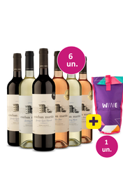 Kit 6 - Esteban Mart&iacute;n Misto + Bolsa t&eacute;rmica 1 garrafa Gr&aacute;tis - Exclusivo We