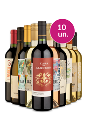 Kit 10 - Vinhos Mistos por 23,90 a garrafa - Exclusivo We