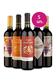 Kit 5 - Exclusivo por R$100