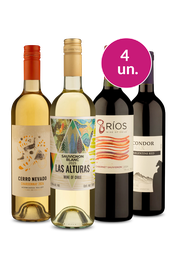 Kit 4 - Variados por R$ 99 - Exclusivo We